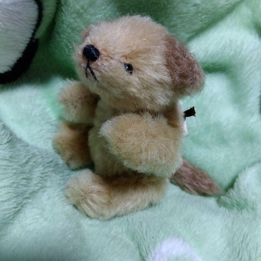作家ベア　大変優しい可愛いテディベア（わんこ）です！